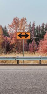 Nature,Trees,Road,Arrows,Autumn,Sign