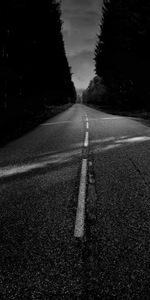 Nature,Trees,Road,Asphalt,Bw,Chb