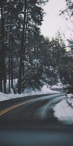 Nature,Trees,Road,Asphalt,Snow,Turn