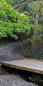 Árboles,Camino,Naturaleza,Puente,Paisaje