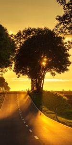 Montée,Lever,Route,Nature,Arbres,Coucher De Soleil