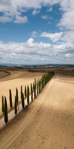 Nature,Trees,Road,Field,Dahl,Distance