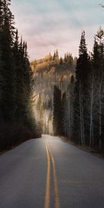 Naturaleza,Árboles,Bosque,Asfalto,Cerro,Loma,Camino