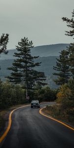 Route,Arbres,Forêt,Machine,Nature,Une Voiture