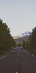 Route,Nature,Arbres,Balisage