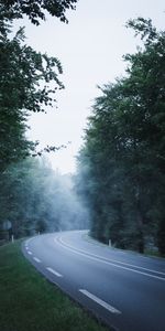 Nature,Trees,Road,Markup,Dahl,Fog,Distance