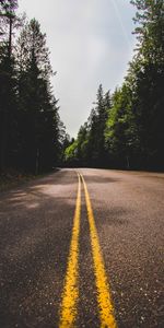 Nature,Trees,Road,Markup,Journey