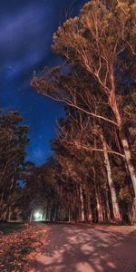 Parana,Entrerios,Entre Rios,Route,Nature,Argentine,Nuit,Etoiles,Arbres