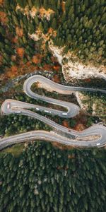 Nature,Trees,Road,Winding,Sinuous,Forest,Romania