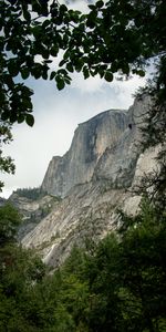 Nature,Trees,Rock,Branches,Cliff,Slope