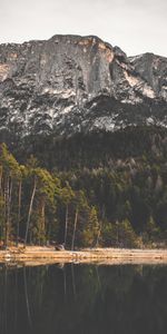 Nature,Trees,Rock,Lake,Forest