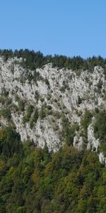 Nature,Trees,Rock,Mountain,Landscape