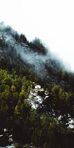 Nature,Trees,Rock,Mountain,Slope,House