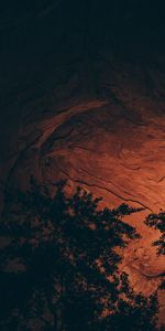 Nature,Trees,Rock,Stone,Cave