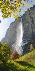 Nature,Trees,Rock,Waterfall,Landscape