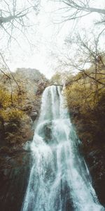 Naturaleza,Ríos,Árboles,Roca,Cascada