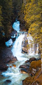 Noyaux,Roches,Arbres,Les Rochers,Nature,Couler,Ruisseau,Cascade