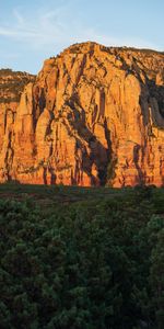 Nature,Trees,Rocks,Forest,Landscape