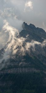 Arbres,Roches,Montagne,Brouillard,Les Rochers,Nature