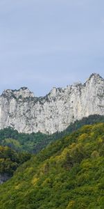 Nature,Trees,Rocks,Mountain,Landscape