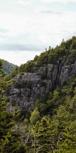 Nature,Trees,Rocks,Spruce,Fir,Slope