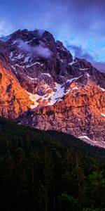 Nature,Trees,Rocks,Tops,Snow Covered,Snowbound,Mountains,Vertex