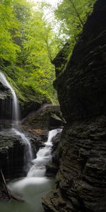 Pierre,Roches,Arbres,Les Rochers,Ruisseau,Nature,Cascade