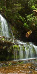 Cascada,Las Rocas,Naturaleza,Árboles,Rocas,Paisaje