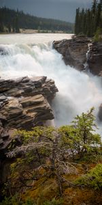 Las Rocas,Rocas,Cuesta,Pendiente,Naturaleza,Árboles,Flujo,Corriente,Cascada