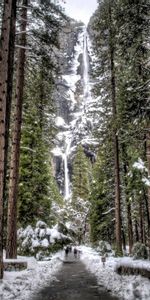 Nature,Trees,Rocks,Waterfall,Snow,Forest