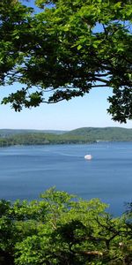 Nature,Arbres,Îles,Côtes,Branches,Branche,Côte,Yacht,Mer