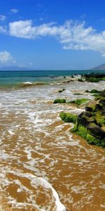 Nature,Trees,Sea,Surf,Sand