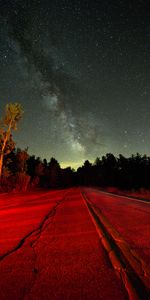 Nature,Trees,Shine,Light,Road,Starry Sky,Night