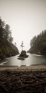 Nature,Trees,Shore,Bank,Bay,Island