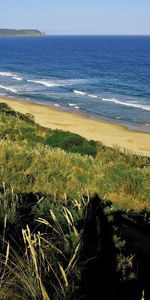 Nature,Trees,Shore,Bank,Foam,Sea,Sand