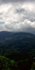 Arbres,Les Collines,Collines,Sky,Buissons,Nature