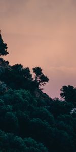 Nature,Trees,Sky,Bush,Slope