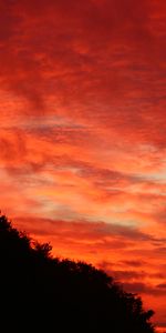 Buissons,Nature,Arbres,Sky,Coucher De Soleil,Sombre