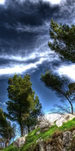 Nature,Trees,Sky,Clouds,Break,Precipice,Air