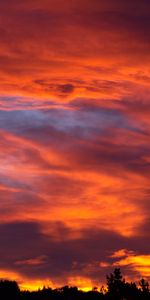 Nuages,Sky,Buissons,Nature,Arbres,Coucher De Soleil