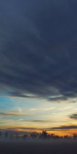 Nuages,Sky,Nature,Brouillard,Arbres