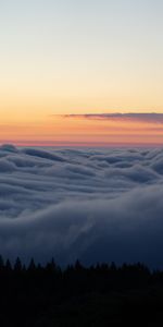 Naturaleza,Cielo,Nubes,Horizonte,Árboles