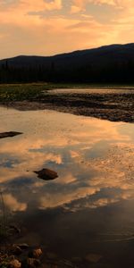 Nature,Trees,Sky,Clouds,Lake,Reflection,Spruce,Fir