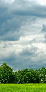 Nature,Trees,Sky,Clouds,Summer,Greens,Field,Meadow