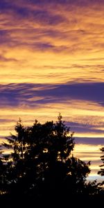 Arbres,Nuages,Grandes Lignes,Contours,Soir,Sky,Nature,Crépuscule