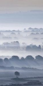 Nature,Trees,Sky,Fog,Valley