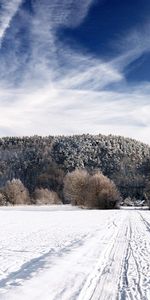 Nature,Trees,Sky,Frost,Traces,Country,Countryside,Road,Ease