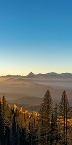 Brouillard,Les Collines,Collines,Sky,Nature,Arbres