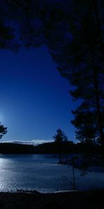 Nature,Trees,Sky,Lake,Dahl,Norway,Distance,Night