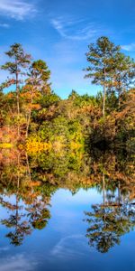 Réflexion,Nature,Arbres,Lac,Forêt,Sky